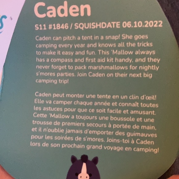 Caden Rare Squishmallow - Picture 5 of 5